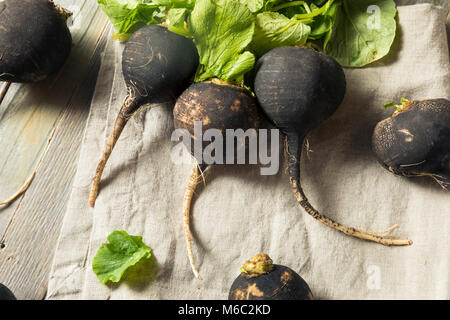 Le Radis Noir cru organique dans un groupe Banque D'Images