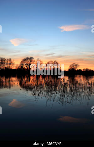 Coucher du soleil d'été au cours d'une vidange Fenland ; près de la ville d'Ely, Cambridgeshire, Angleterre, Grande-Bretagne, Royaume-Uni Banque D'Images