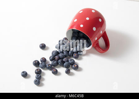 Mug en porcelaine rouge à pois blancs sur un tableau blanc en bois avec des baies de myrtilles Banque D'Images