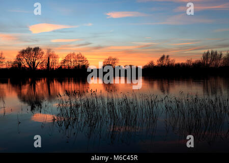 Coucher du soleil d'été au cours d'une vidange Fenland ; près de la ville d'Ely, Cambridgeshire, Angleterre, Grande-Bretagne, Royaume-Uni Banque D'Images