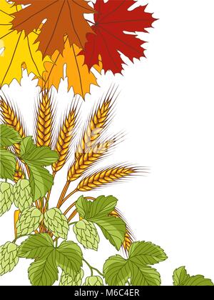 Illustration de blé feuilles de houblon. Vector bacground Illustration de Vecteur