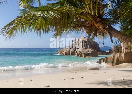 Les roches de granit et de palmiers à une plage tropicale sur La Digue, Seychelles. Banque D'Images