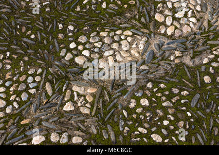 Détail de mosaïque décorative voie pavée à motifs dans le Generalife, Alhambra, Granada Banque D'Images