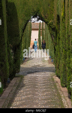 Mosaïque décorative voie pavée à motifs et taillé dans le cyprès Jardines Bajos (Jardins Bas), le Generalife, Alhambra, Granada, Espagne Banque D'Images