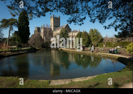 Wells Cathedral et Wells Bishop's piscines dans le jardin du palais, Wells, Somerset, Royaume-Uni. Banque D'Images