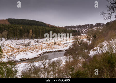 La rivière Ythan à Braes de Gight de bois, près de Methlick, Aberdeenshire, Scotland Banque D'Images