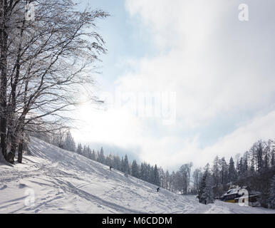 Lilienfeld : ski, tourer, refuge de montagne Bajcsy Zsilinszky Hütte, pente, Mostviertel, Niederösterreich, Basse Autriche, Autriche Banque D'Images