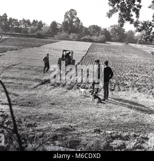 Années 1950, historiques, deux jeunes garçons avec des chiens debout regardant un agriculteur sur un tracteur laboure un champ dans neat lignes droites, England, UK. Banque D'Images