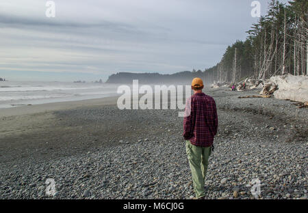 Chaque homme qui marche sur la plage avec l'océan de brume en arrière-plan Banque D'Images