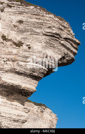 Corse : Détails de l'époustouflante falaises de calcaire blanc de Bonifacio dans les Bouches de Bonifacio, la réserve naturelle du parc marin Banque D'Images