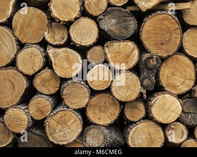 Bois de chauffage coupé dans une pile. Arrière-plan de bois empilés et prêt pour l'hiver. Close up tas de bois de sciage. Banque D'Images