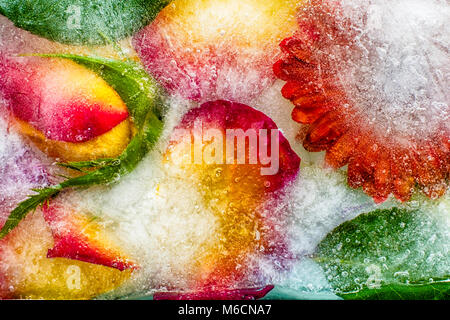 Concept de fleurs colorées et de feuilles congelés dans une épaisse couche de glace Banque D'Images