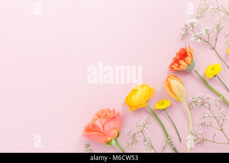 D'en haut photo de belles fleurs en adjudication sur arrangement minimaliste rose. Banque D'Images