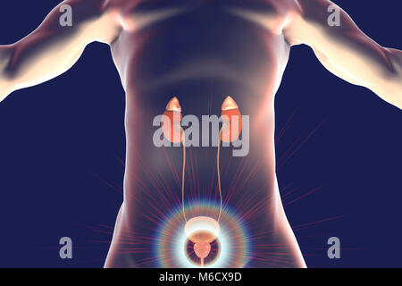 Traitement de la prostate, maladie illustration conceptuelle. Banque D'Images