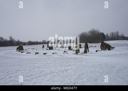 Great Linford, Milton Keynes, UK. 2 mars, 2018. Neige à 'La Roue de médecine' Stone Circle, Willen, Milton Keynes, 2 mars 2018. Crédit : Martin Smith/Alamy Live News Banque D'Images