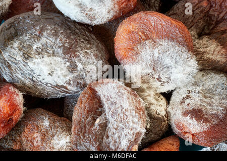 Extreme close up photo d'abricots secs moisis, faible profondeur de champ. Banque D'Images