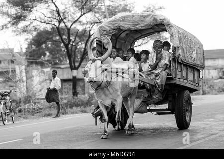 Des enfants se rendant à la maison de l'école dans un village du Tamil Nadu, près de Athoor, Tamil Nadu en Inde. Banque D'Images