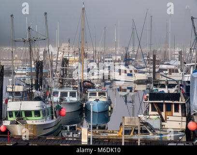 Des bateaux de pêche, le brouillard du matin, au Quai Municipal marina près de ferry terminal à Port McNeill, au nord de l'île de Vancouver, Colombie-Britannique, Canada Banque D'Images