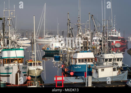 Des bateaux de pêche, le brouillard du matin, au Quai Municipal marina près de ferry terminal à Port McNeill, au nord de l'île de Vancouver, Colombie-Britannique, Canada Banque D'Images