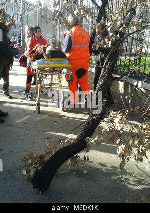 Rome, Italie. 09Th Mar, 2018. De fortes rafales de vent à Rome ont amené divers inconvénients et la chute de certaines branches d'arbres. Dans la Piazza della Repubblica une branche tomba, causant la blessure d'une personne attendant l'autobus à l'arrêt de bus. (Dans la photo est emmené par une ambulance) Credit : Patrizia Cortellessa/Pacific Press/Alamy Live News Banque D'Images