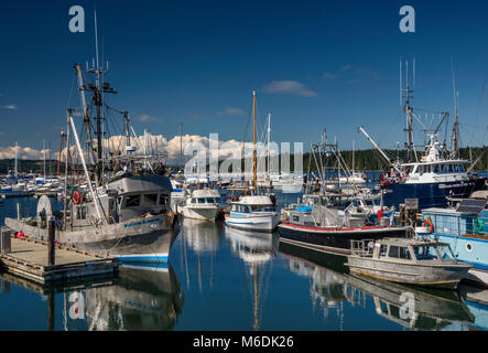 Des bateaux de pêche à quai municipal marina près de ferry terminal à Port McNeill, au nord de l'île de Vancouver, Colombie-Britannique, Canada Banque D'Images