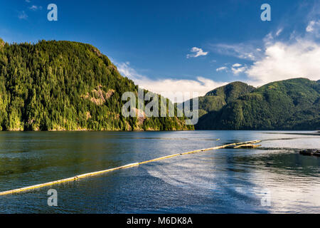 Montagnes entourant Zeballos Inlet du littoral du Pacifique, au nord de l'île de Vancouver, Colombie-Britannique, Canada Banque D'Images