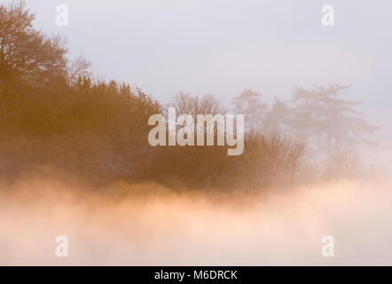 Rouleaux de nuages bas au moyen d'une colline boisée au cours d'une inversion de température. Clément, West Midlands, Royaume-Uni Décembre Banque D'Images