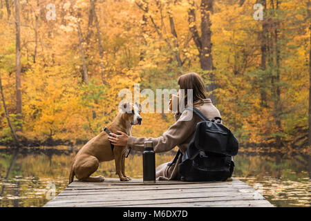 Jeune femme sur un voyage à la nature parc ayant reste près du lac avec son chien et à la couleur jaune vif à l'arbre en automne Banque D'Images