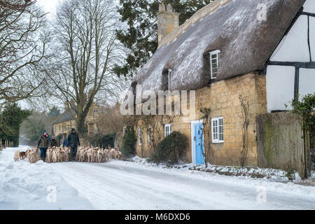 Les cotswolds du Nord chassent les fosses en passant devant des cottages à toit de chaume dans la neige d'hiver. Broadway, Cotswolds, Worcestershire, Angleterre Banque D'Images