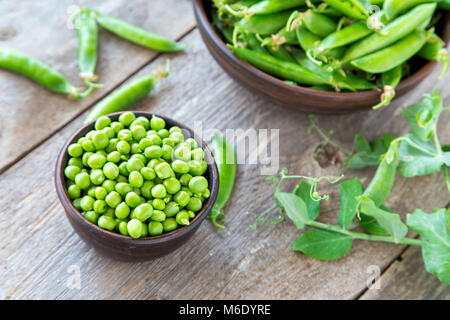 Les jeunes pois dans une plaque d'argile sur une table en bois. debout à côté d'une assiette de gousses de pois. à côté de la plaques est la tige de pois. Banque D'Images