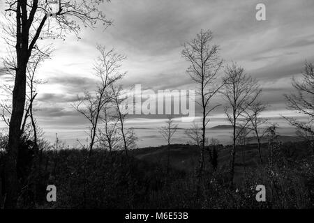 Arbres d'hiver, du squelette de l'avant-plan, et une vallée remplie de brouillard à l'arrière-plan Banque D'Images