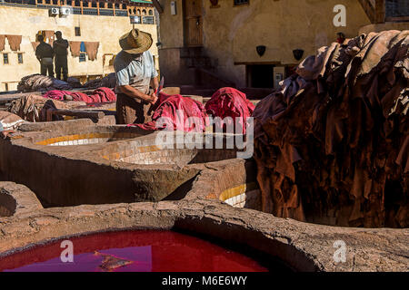 Les tanneries Chouwara. La ville de Fès. Maroc Banque D'Images