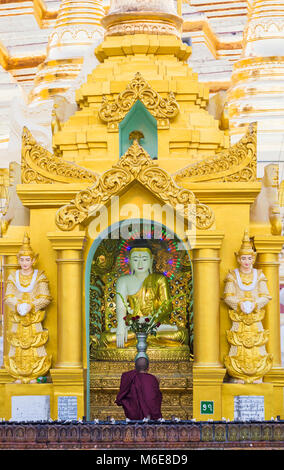 Le moine bouddhiste prier à la pagode Shwedagon, Yangon, Myanmar (Birmanie), l'Asie en février Banque D'Images