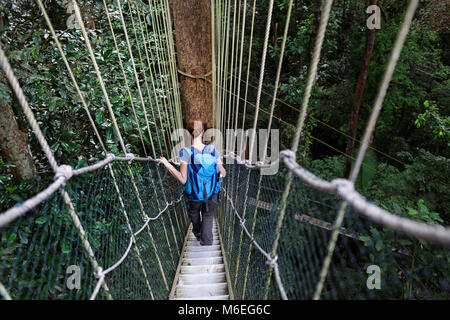 Femme avec un sac à dos marchant dans les escaliers sur la promenade de la canopée dans la forêt tropicale de Taman Negara, Malaisie Banque D'Images