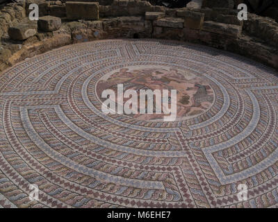 Mosaïques d'excavation de maison de Theseus remontent au 2ème siècle dans le parc archéologique de Paphos Aen Kato Pafos, région de Paphos Chypre Sud illustre Thes Banque D'Images