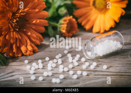 Le Calendula la médecine alternative. En fleurs fraîches de calendula, souci officinal et l'homéopathie comprimés blanc sur une table en bois Banque D'Images