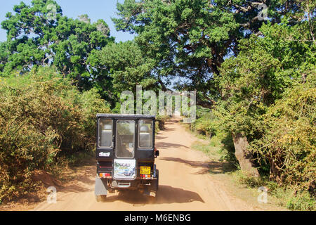 Un safari en jeep sur une route de terre dans le parc national de Yala au Sri Lanka Banque D'Images