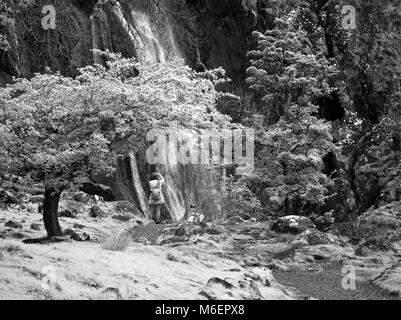 Photographe à Aber Falls dans le nord des montagnes de Snowdonia vu de la côte nord du Pays de Galles près de Llanfairfechan Banque D'Images