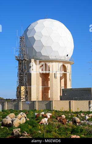 Avis de Dingli station radar de l'Aviation avec des moutons et chèvres à l'avant-plan, Dingli, de Malte, de l'Europe. Banque D'Images