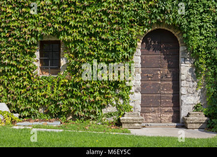 Vieille porte et fenêtre sur le couvert de lierre mur extérieur d'un bâtiment historique Banque D'Images