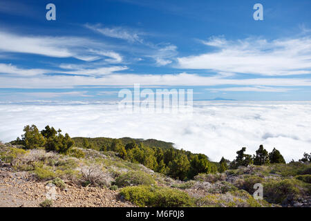 Vue depuis le Pico de la nieve en La Palma, Espagne à Tenerife flottant sur les nuages. Banque D'Images