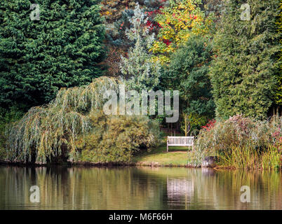 Un automne paisible scène à Bodenham Arboretum, Wolverley, Worcestershire, Angleterre, Europe Banque D'Images