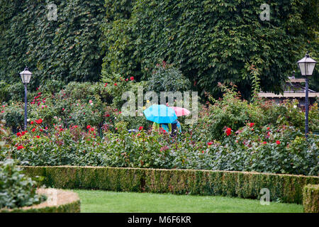 Touristes sous parasols colorés sur un jour d'été pluvieux dans la Vienne Volksgarten Banque D'Images