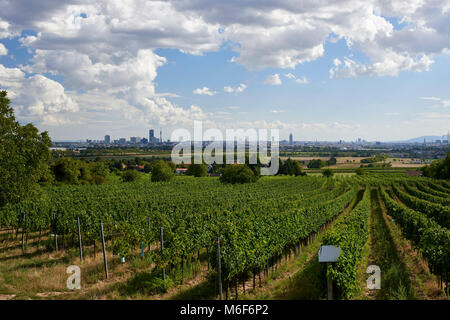 Vue sur vignes en direction de la ville de Vienne - heuriger en haut de Stammersdorfer Kellergasse road Banque D'Images