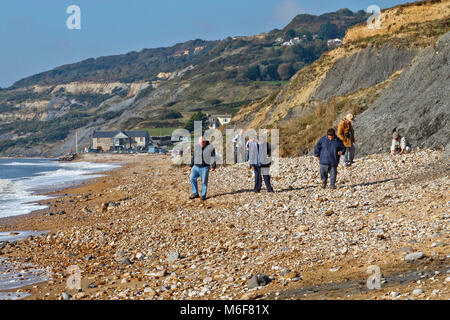 Les chasseurs de fossiles sur la plage de Charmouth, Dorset Banque D'Images