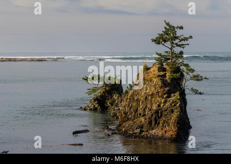 Piton rocheux dans la région de Siletz Bay sert de refuge pour la faune. Lincoln City, Oregon Banque D'Images