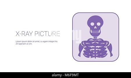 X Ray photo Modèle de l'image de bannière Web With Copy Space Illustration de Vecteur