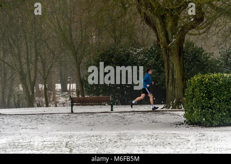 Melton Mowbray 3 Mars 2018 : Les tempêtes de neige extrêmes UK le frappeur de nombreuses parties de l'UK lone runner, dog walker, père et fils de la luge des canards, des goélands et les corbeaux bataille pour les éraflures de la nourriture. Les chevaux à l'abri sous les arbres de l'église St Mary dans le brouillard étangs gelés et les rivières comme le faisan marche le long de la route de campagne. Clifford Norton Alamy Live News. Banque D'Images