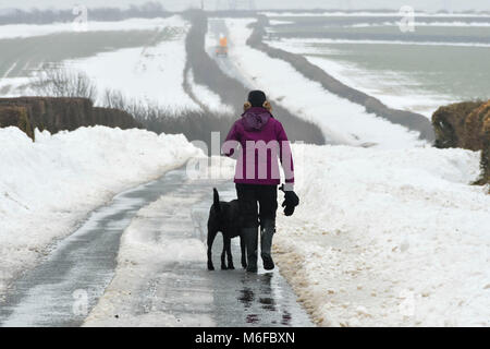 Valence Compton, Dorset, UK. Le 3 mars 2018. Météo britannique. Un chien Walker sur le Romain Roan près de Compton Valence dans Dorset, flanquée par de grands bancs de neige à partir de la tempête Emma. La neige commence à fondre avec la plupart des champs presque pas de neige mais la dérive le long des routes sont toujours et dans des lieux sont 4-5 pieds de haut. Crédit photo : Graham Hunt/Alamy Live News Crédit : Graham Hunt/Alamy Live News Banque D'Images