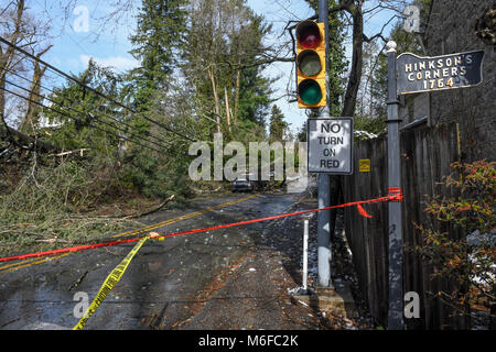 Pennysylvanie, USA. Le 3 mars 2018. Chute d'arbres sur les lignes électriques, les voitures et les maisons après une tempête météorologiques extrêmes s'bombogenesis et frappe la Côte Est des États-Unis : Don Mennig Crédit/Alamy Live News Banque D'Images